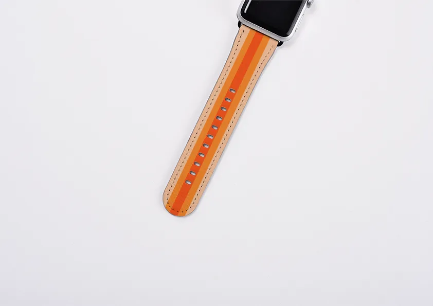 Apple Watch Strap- London Chroma Stripe