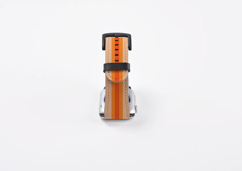 Apple Watch Strap- London Chroma Stripe